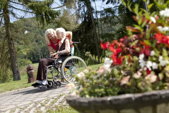 Eine Person im Rollstuhl wird von einer anderen Person im Freien auf einem gepflasterten Weg geschoben, im Vordergrund unscharfe Blumen in einem Pflanzkübel.